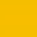 PractitionerColorBlock