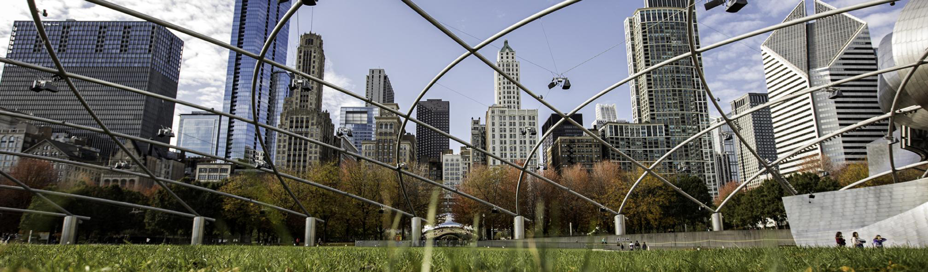 Chicagoskylineimagefromgrassyfield