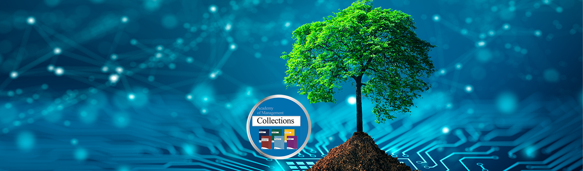 February2025Collectionsbannerimageoftreeanddata