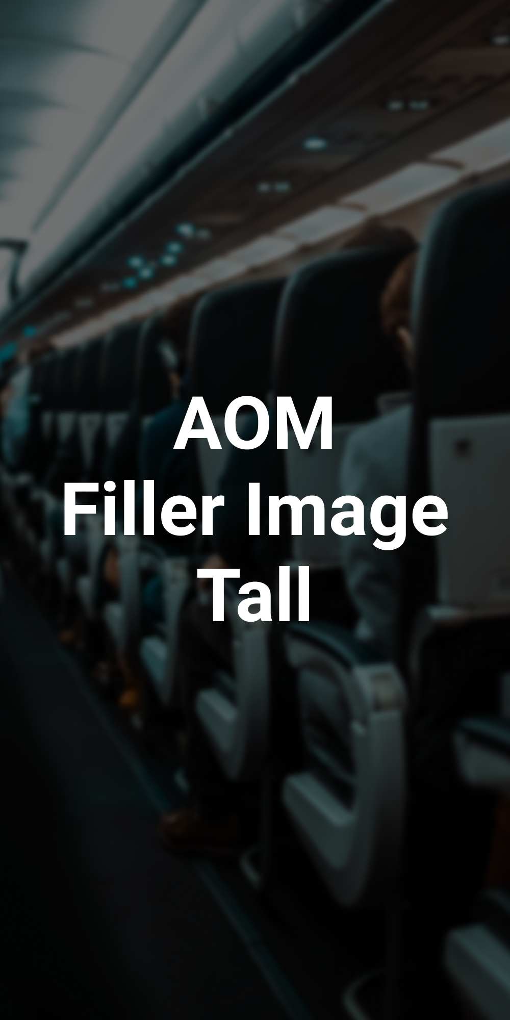 AOMFillerImageTall