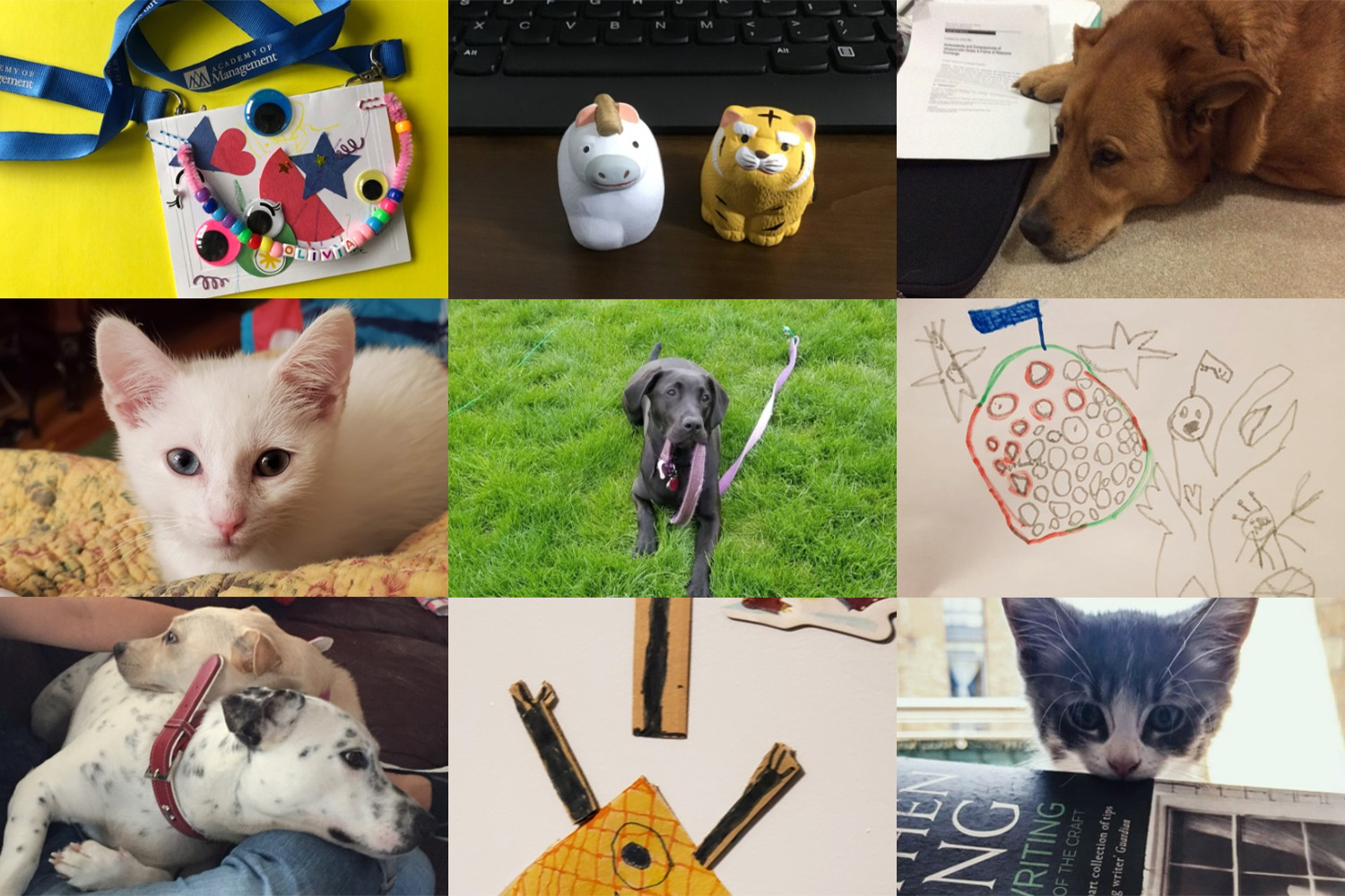AOM2020PetsAndKidsArt