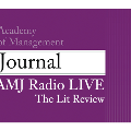 AMJ_600x500_LitReview