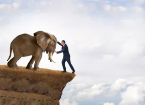Elephant is about to push man off cliff