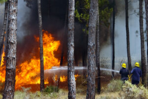 Two firefighters use a hose to spray water on a forest fire.