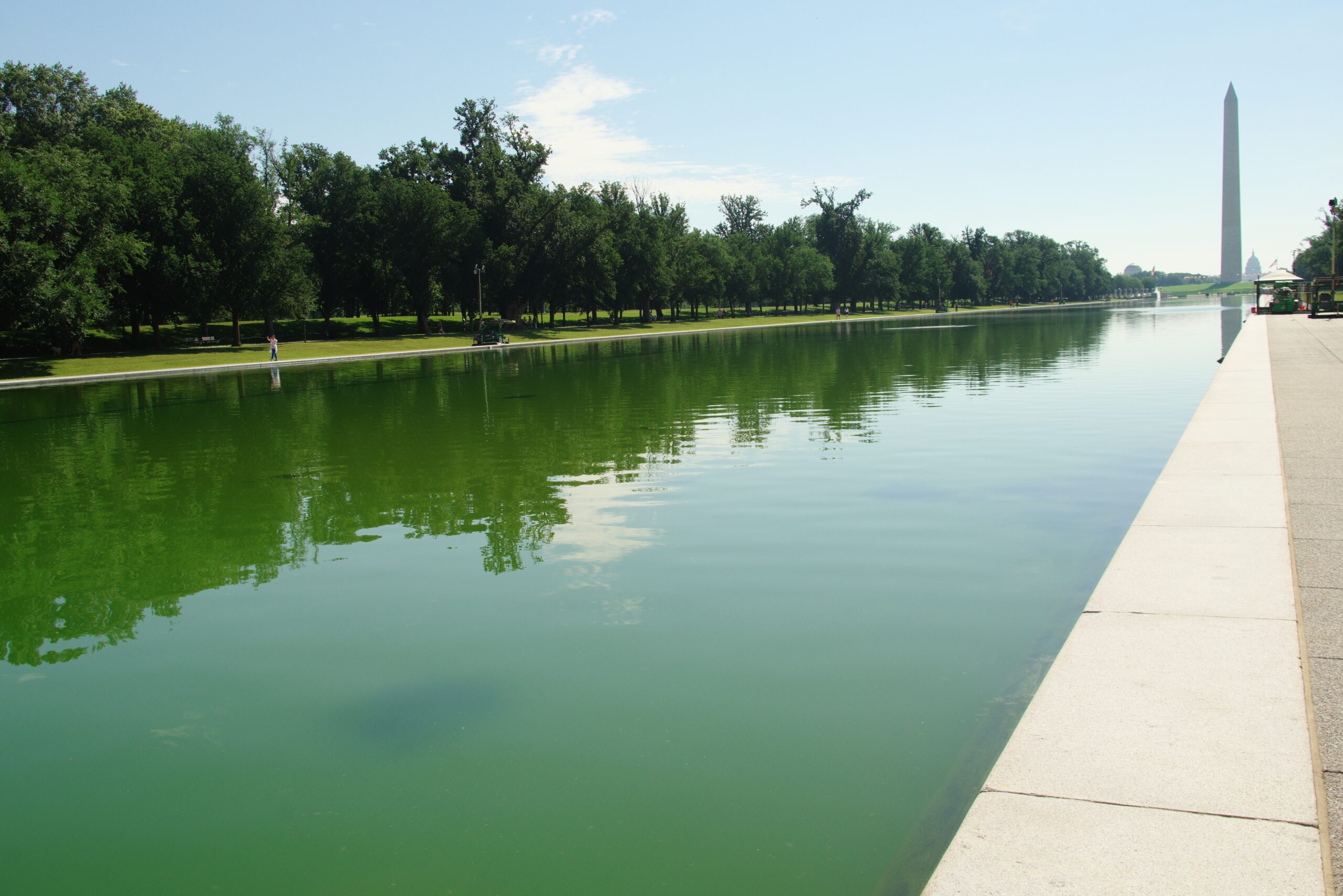 The Lincoln Memorial Reflecting Pool appears green after an algae bloom in June 2026.