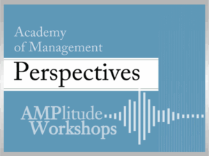 AMPlitude Workshops