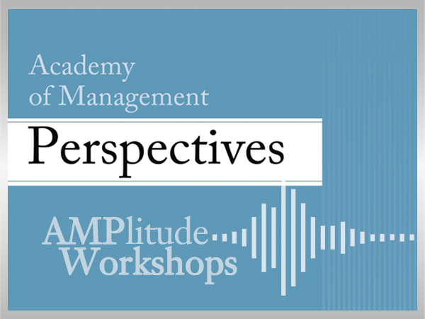 AMPlitude Workshops