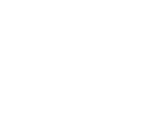 Introductory Guide to AOM and the Annual Meeting