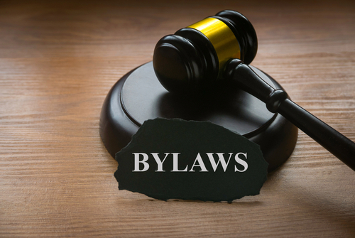 Image of gavel and the word Bylaws